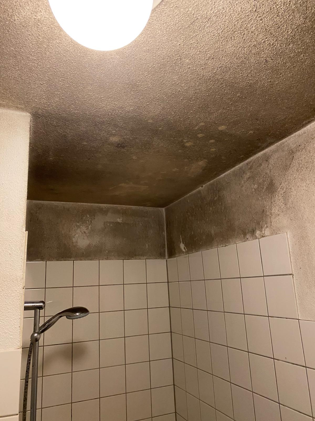 Badkamer schimmel verwijderen Badkamer schimmel verwijderen