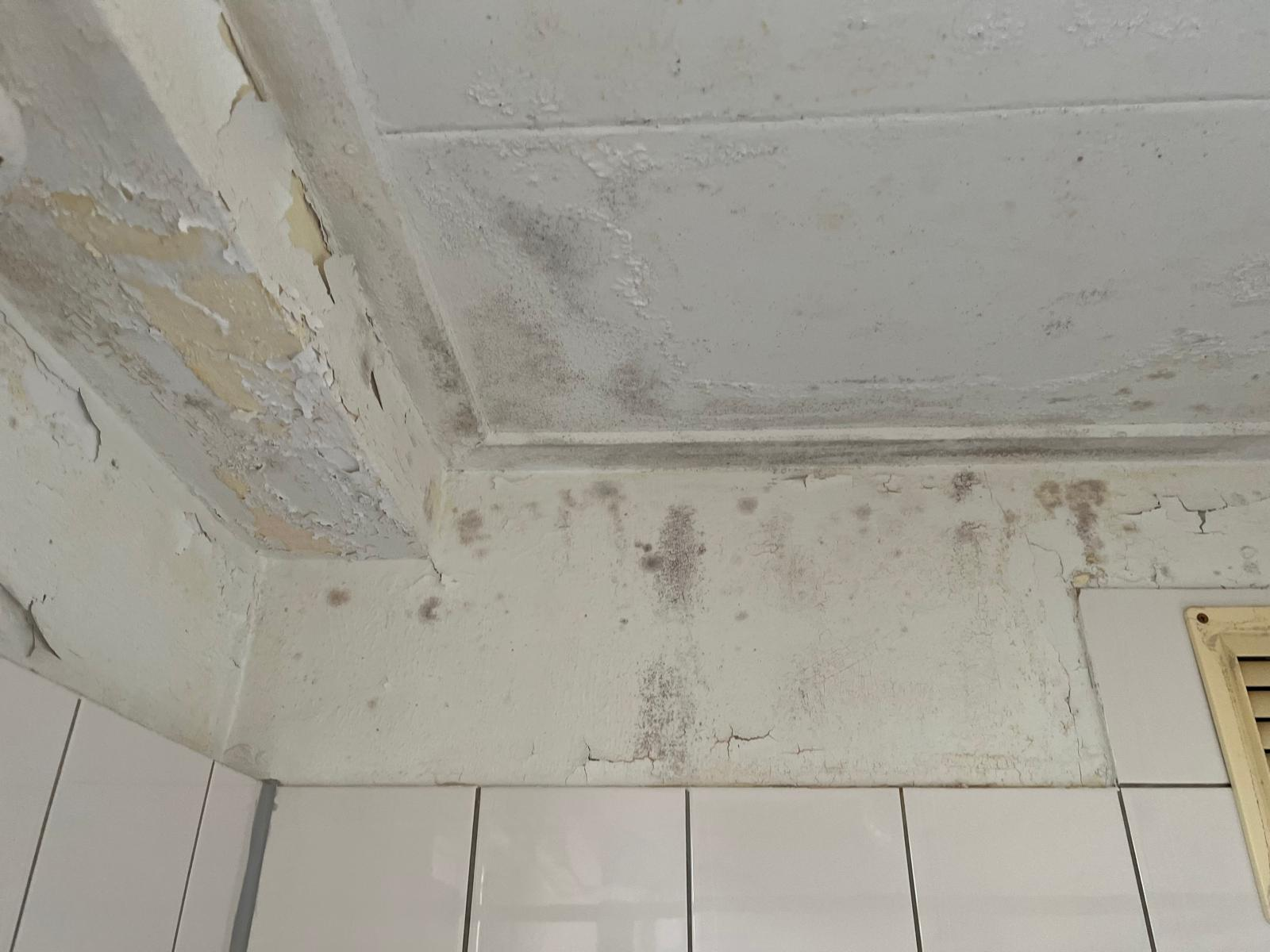 Badkamer schimmel verwijderen Badkamer schimmel verwijderen